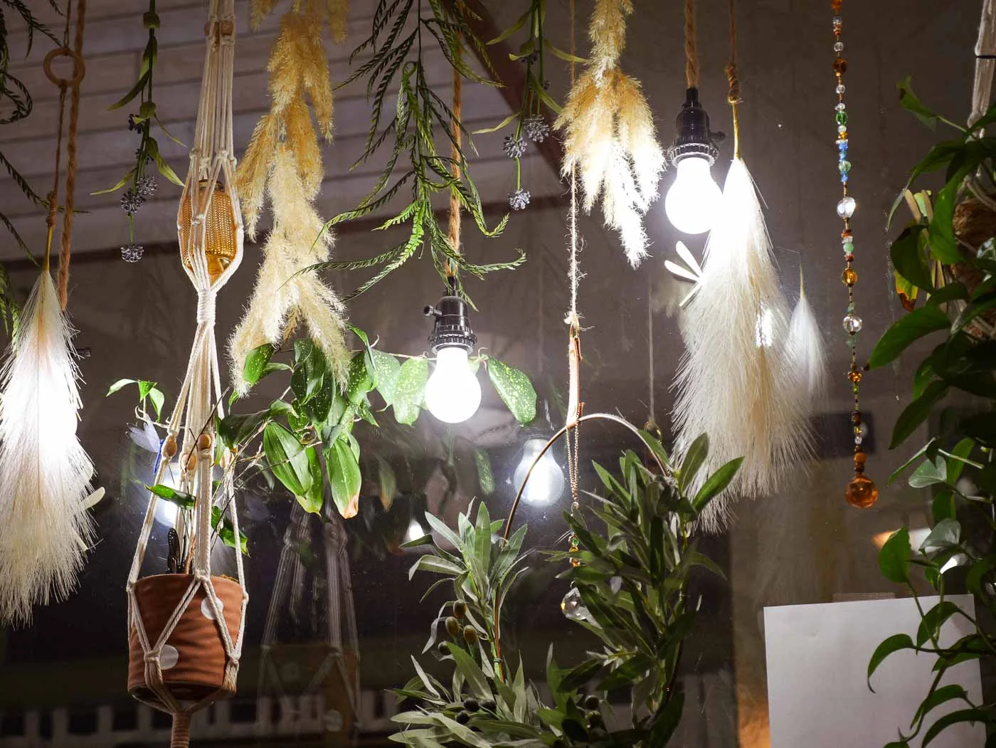 Hanging plants and soft lights in the salon window